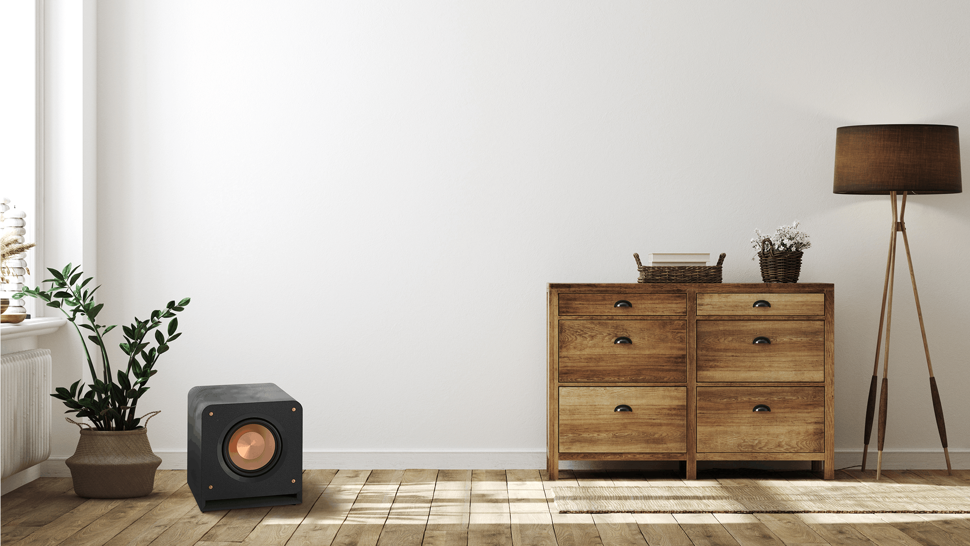 RP 1000 SW on a wooden floor next to a potted plant and a credenza